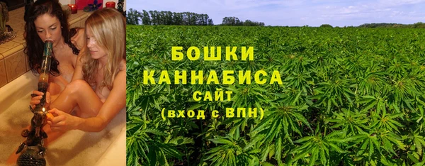дмт Кулебаки