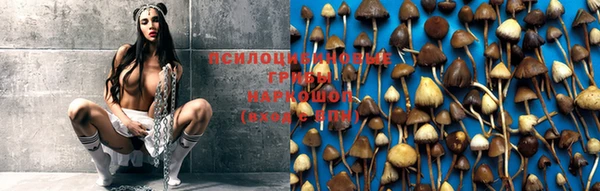 альфа пвп Кукмор