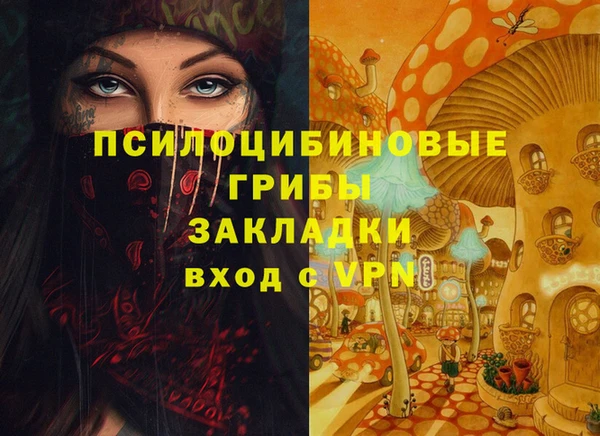 a pvp Алексин