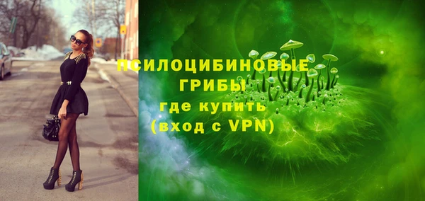 spice Краснослободск