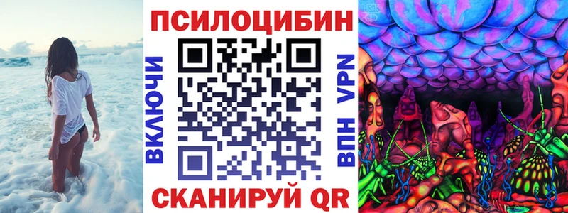 Псилоцибиновые грибы мицелий ОМГ ОМГ зеркало Луга купить цена